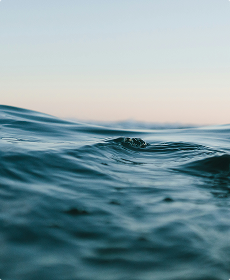 Sustainable marine fuel solutions: our commitment to the environment